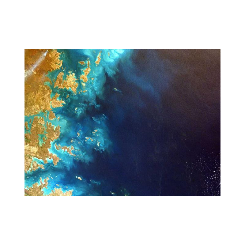 Small Bronze Wallet pt-PT
